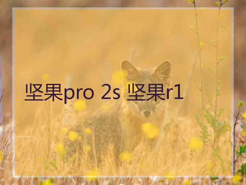 坚果pro 2s 坚果r1