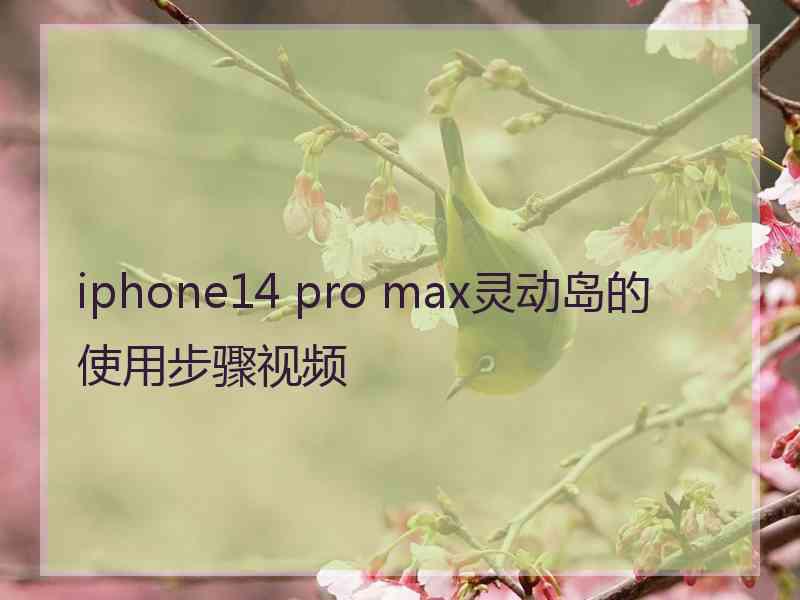 iphone14 pro max灵动岛的使用步骤视频