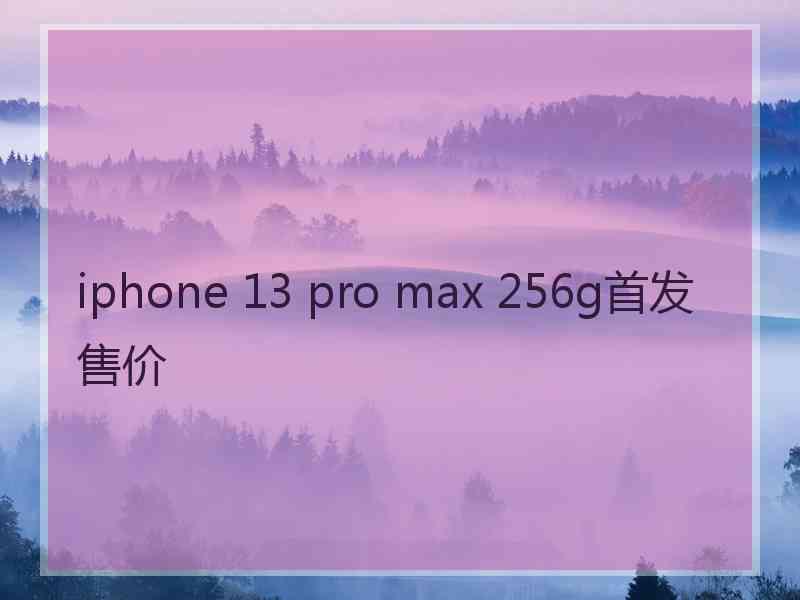 iphone 13 pro max 256g首发售价