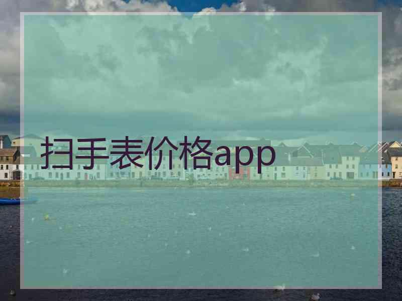 扫手表价格app