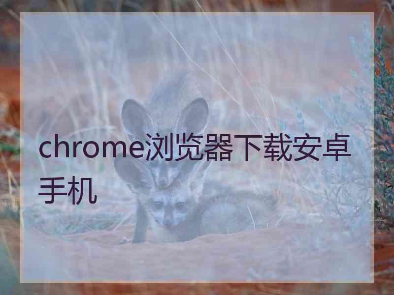 chrome浏览器下载安卓手机