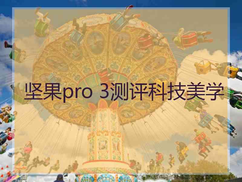 坚果pro 3测评科技美学