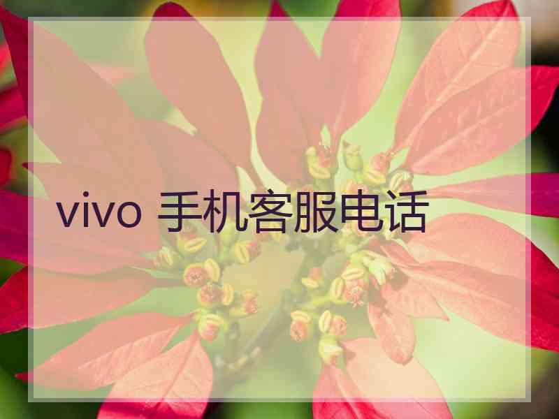 vivo 手机客服电话