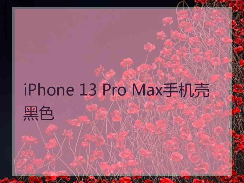 iPhone 13 Pro Max手机壳黑色