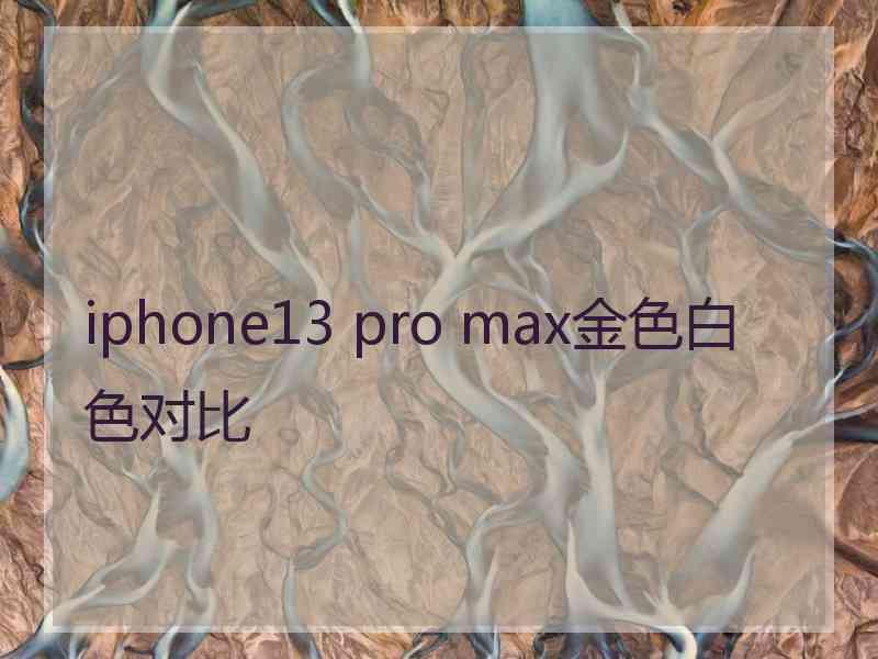 iphone13 pro max金色白色对比