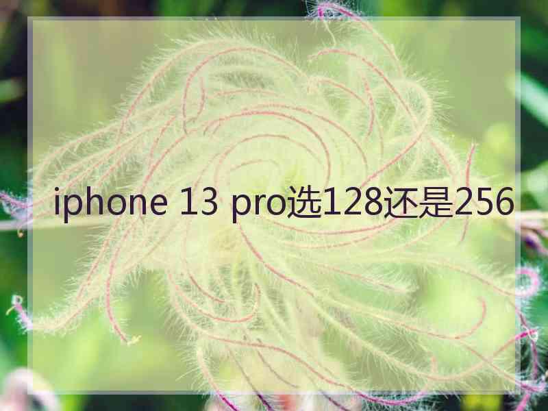 iphone 13 pro选128还是256