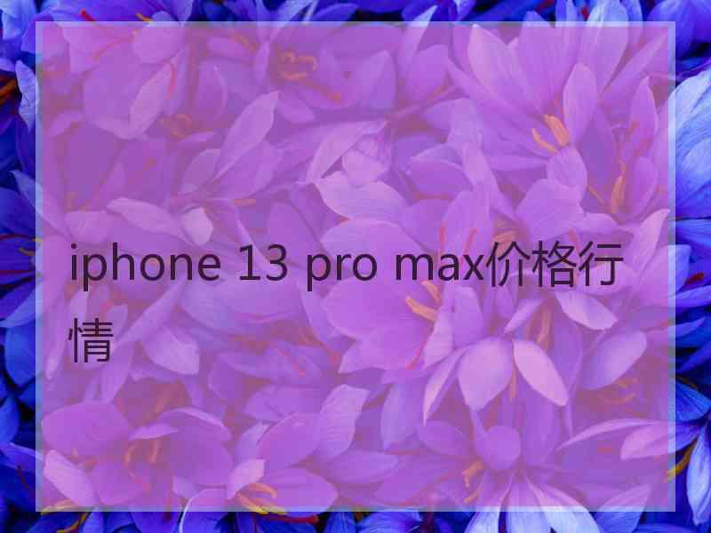 iphone 13 pro max价格行情