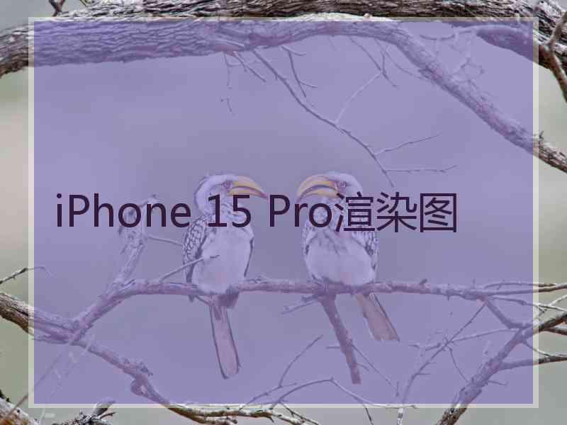 iPhone 15 Pro渲染图