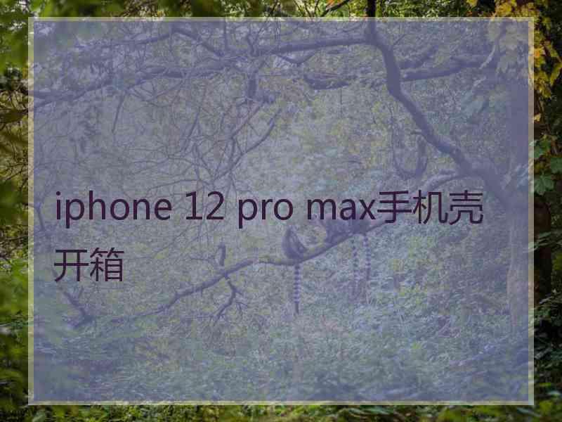 iphone 12 pro max手机壳开箱