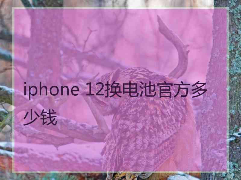 iphone 12换电池官方多少钱