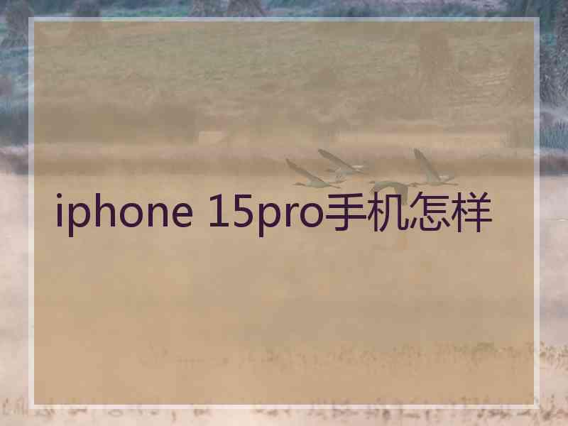 iphone 15pro手机怎样