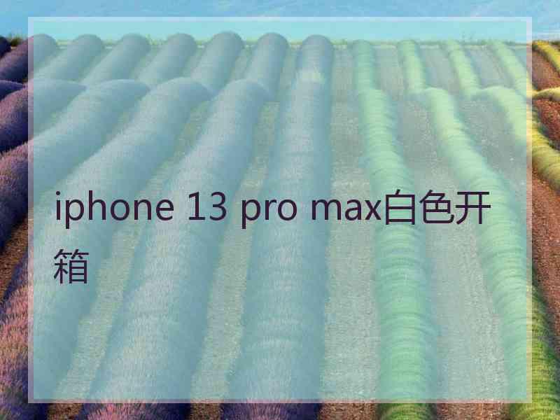 iphone 13 pro max白色开箱