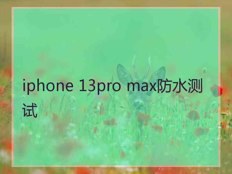 iphone 13pro max防水测试