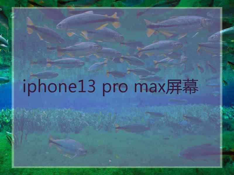 iphone13 pro max屏幕