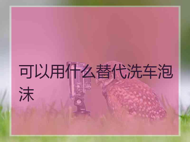 可以用什么替代洗车泡沫