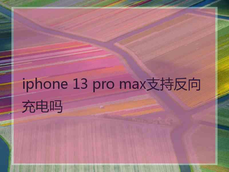 iphone 13 pro max支持反向充电吗