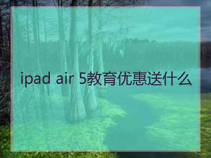 ipad air 5教育优惠送什么