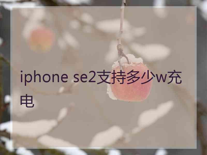 iphone se2支持多少w充电