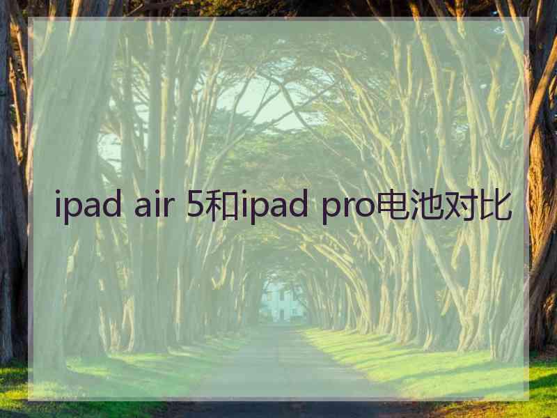 ipad air 5和ipad pro电池对比