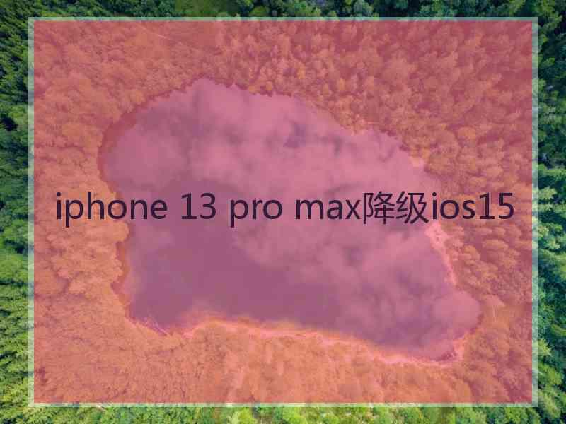 iphone 13 pro max降级ios15