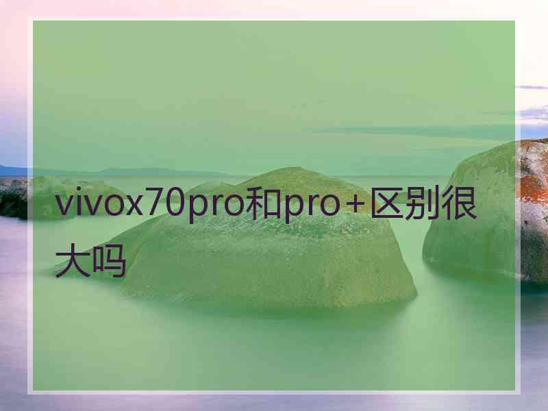 vivox70pro和pro+区别很大吗