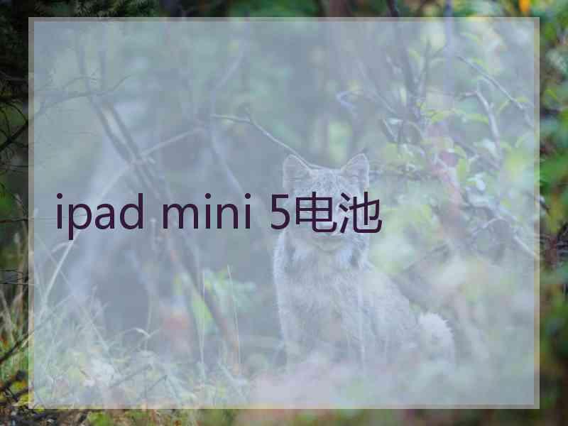 ipad mini 5电池