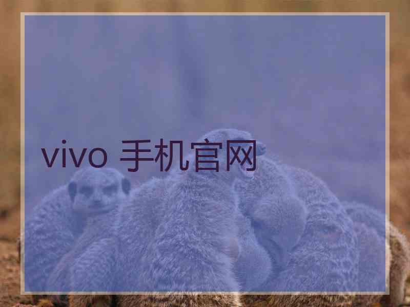 vivo 手机官网