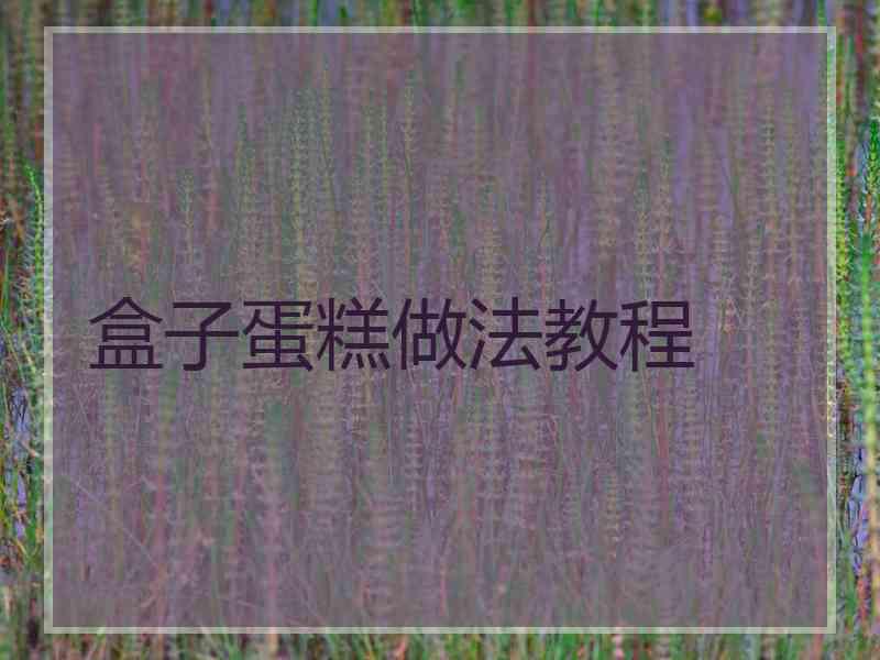 盒子蛋糕做法教程