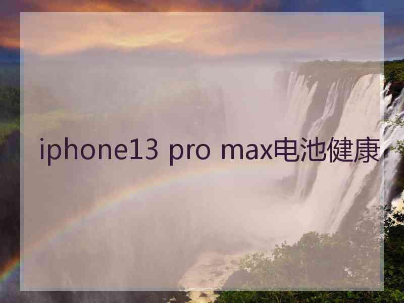 iphone13 pro max电池健康