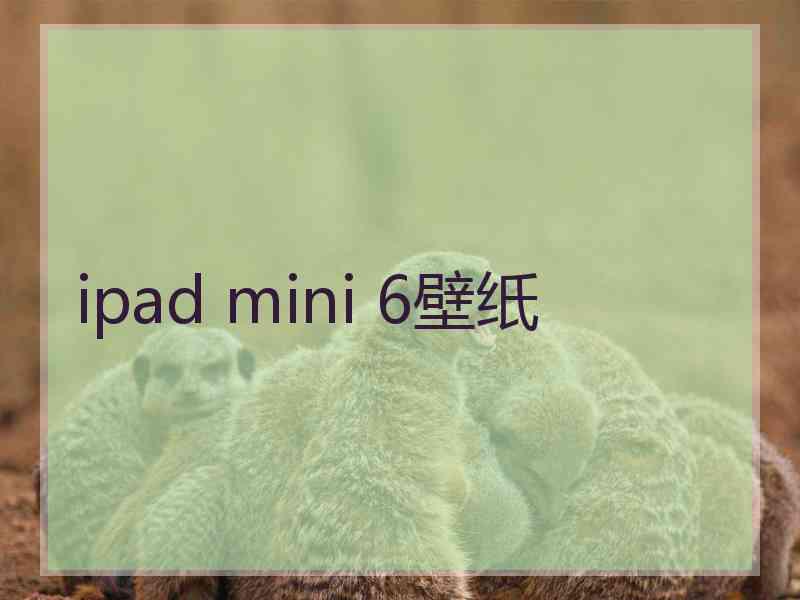 ipad mini 6壁纸