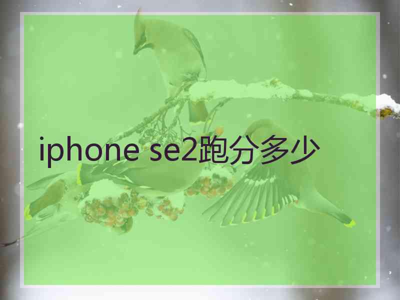 iphone se2跑分多少