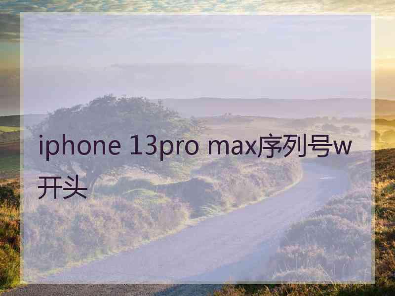 iphone 13pro max序列号w开头