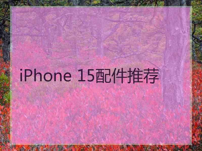 iPhone 15配件推荐