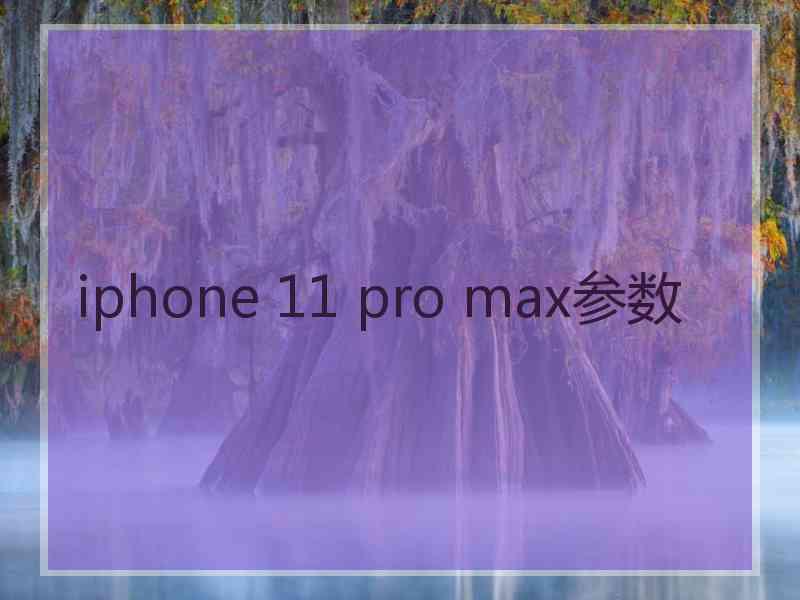 iphone 11 pro max参数