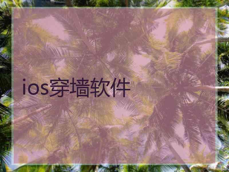 ios穿墙软件