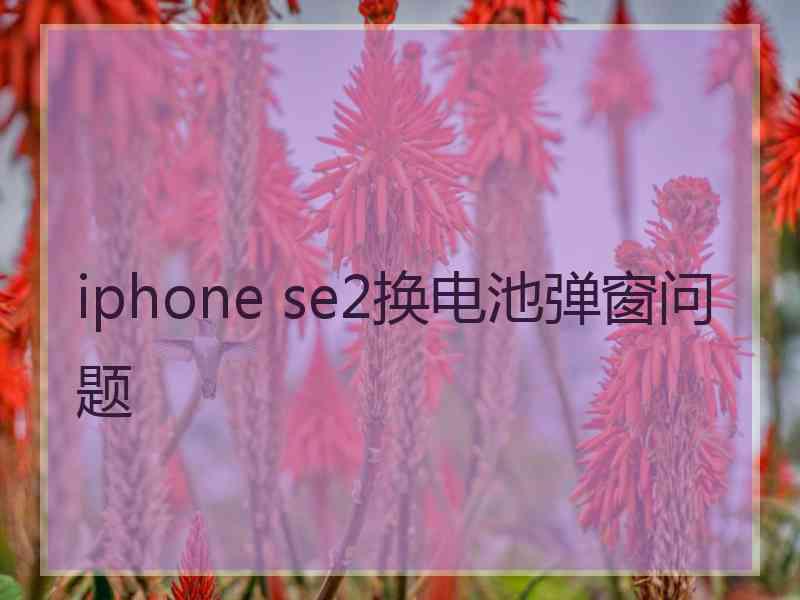 iphone se2换电池弹窗问题