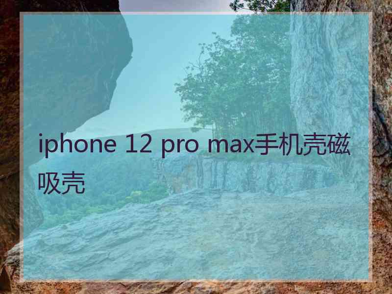 iphone 12 pro max手机壳磁吸壳