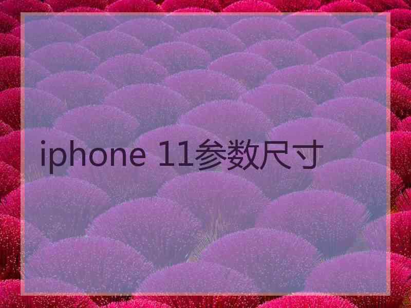 iphone 11参数尺寸