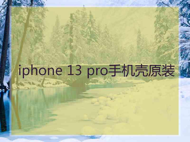 iphone 13 pro手机壳原装