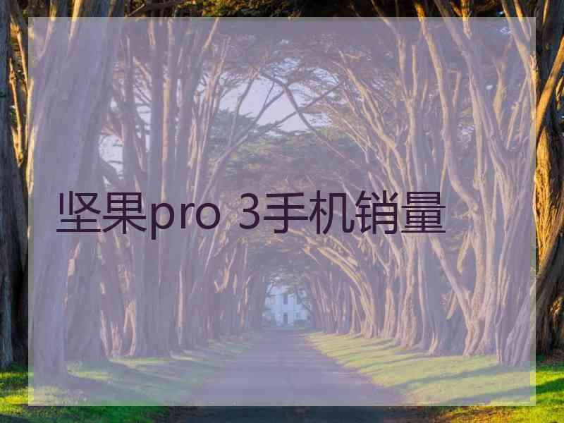 坚果pro 3手机销量