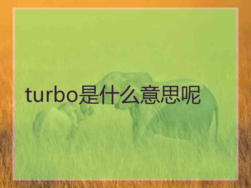 turbo是什么意思呢