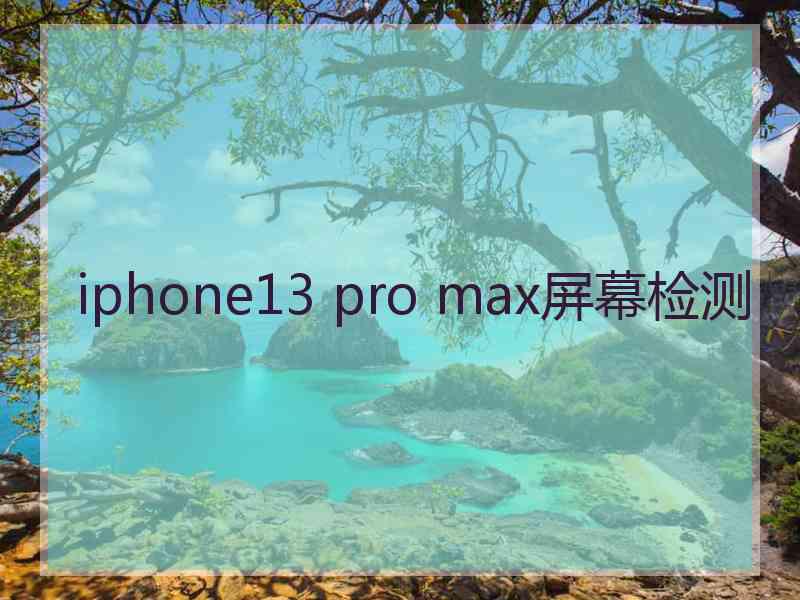 iphone13 pro max屏幕检测