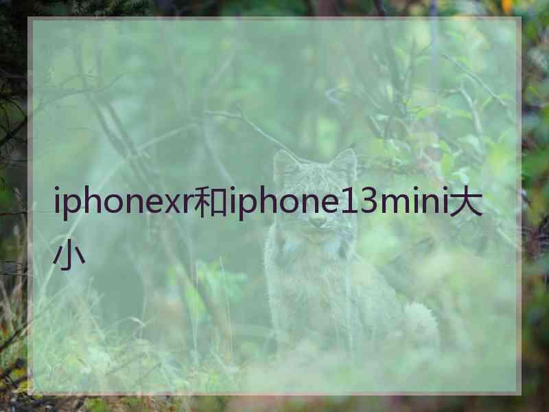 iphonexr和iphone13mini大小