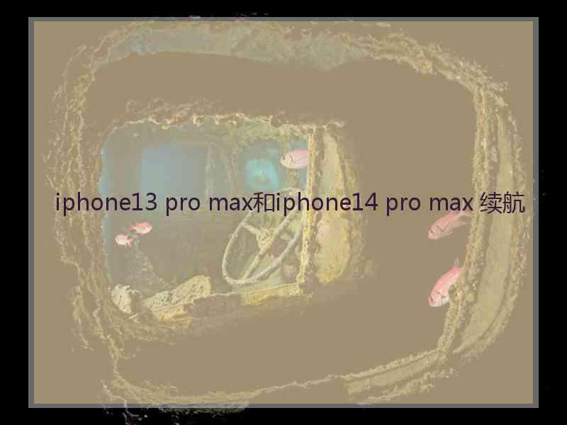 iphone13 pro max和iphone14 pro max 续航