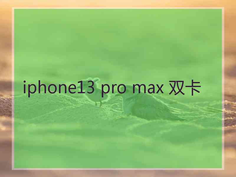 iphone13 pro max 双卡