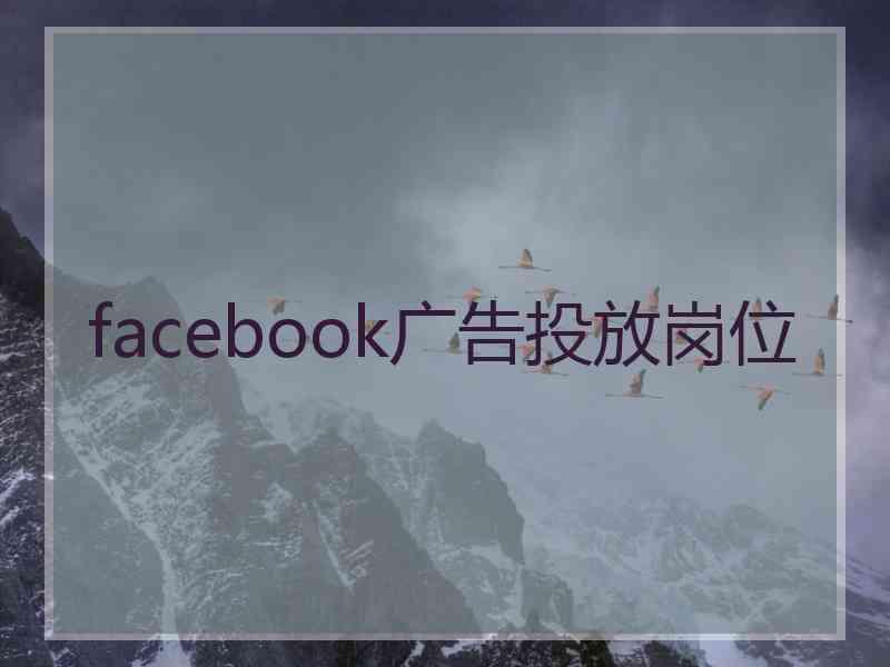 facebook广告投放岗位