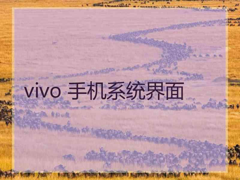 vivo 手机系统界面