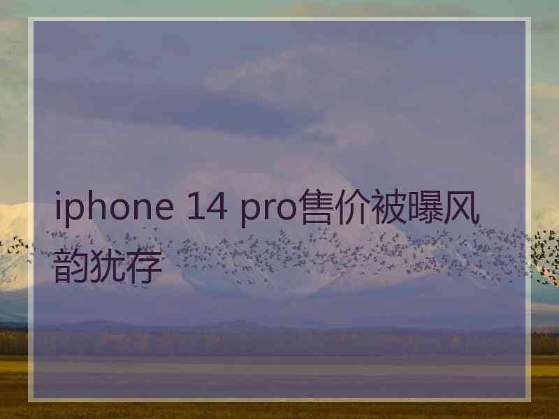 iphone 14 pro售价被曝风韵犹存