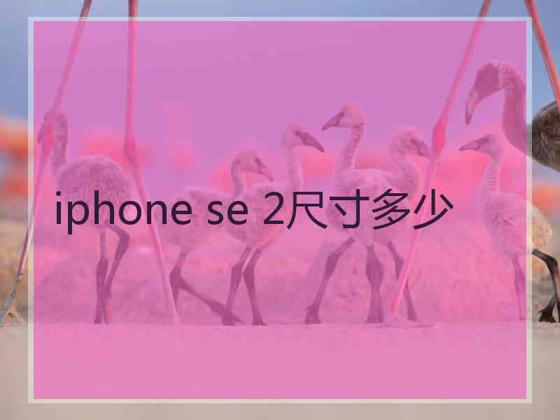 iphone se 2尺寸多少