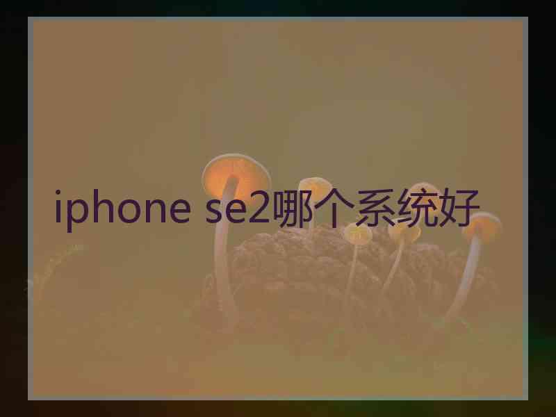 iphone se2哪个系统好